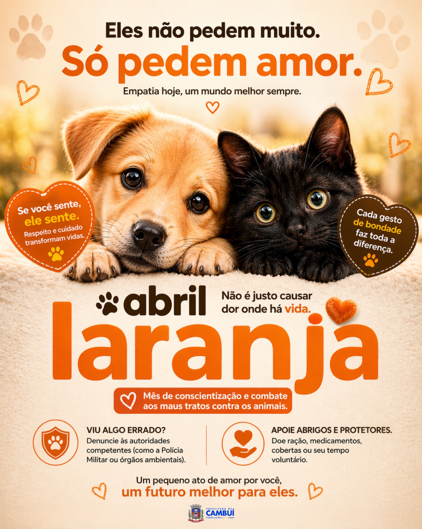 Post do instagram da Prefeitura de Mandirituba