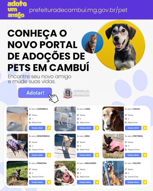Post do instagram da Prefeitura de Mandirituba